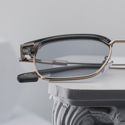 The Classic's - Silver Tint Glasses